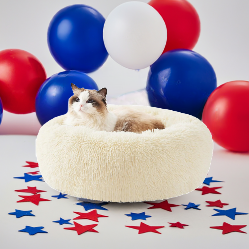 Cat in a fluffy white pet bed with red, white, and blue balloons and stars in the background