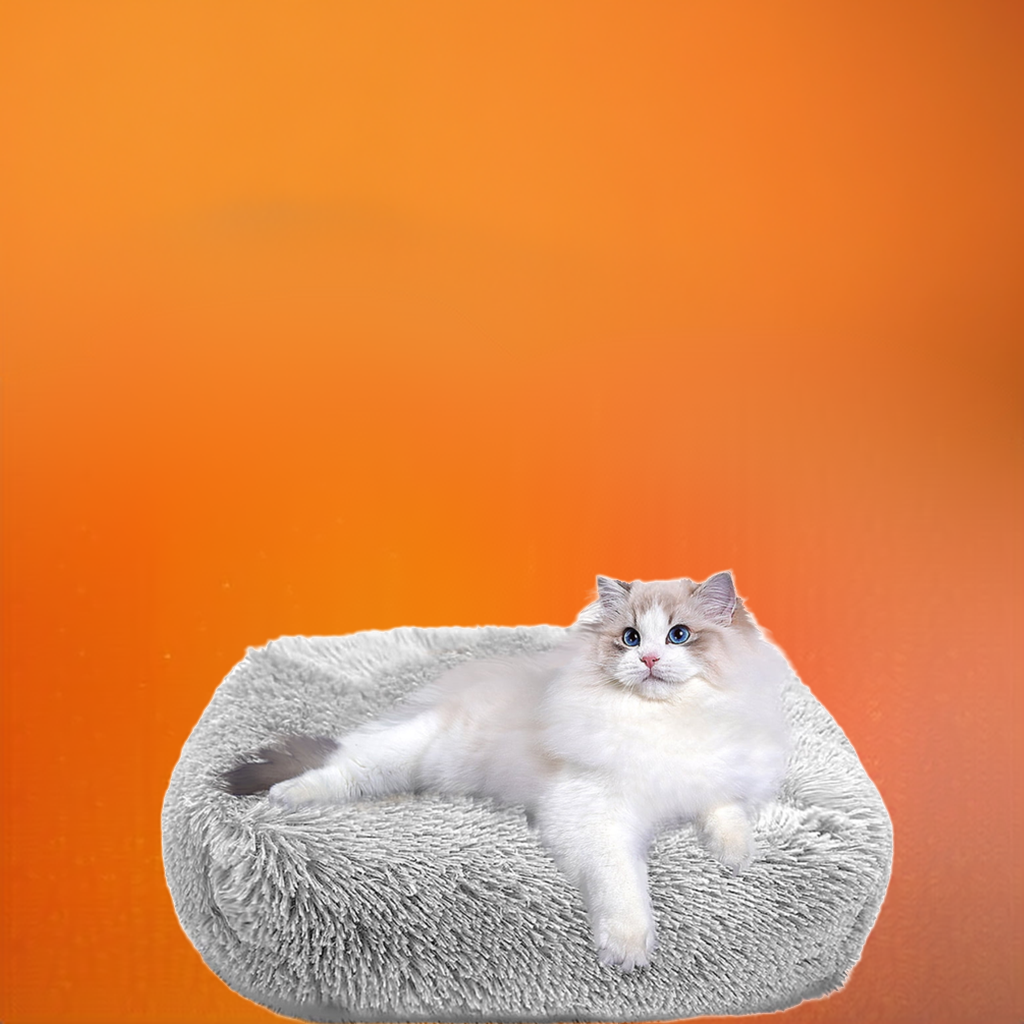 Cat lying on a fluffy gray pet bed with an orange gradient background