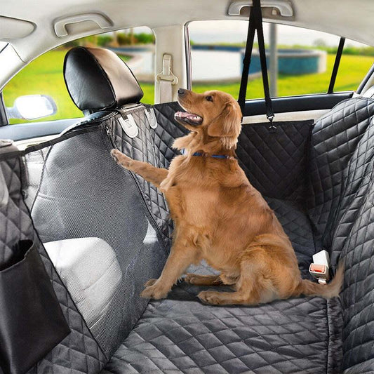 Dog sitting on a car seat cover in a vehicle with a view of a lake.