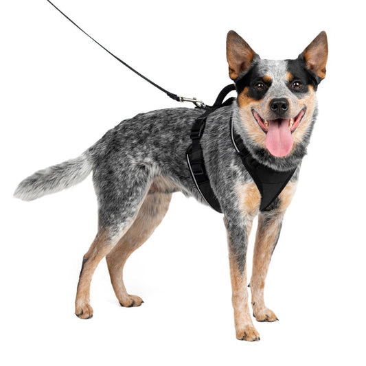 Black PetSafe EasySport dog harness with handle and reflective piping