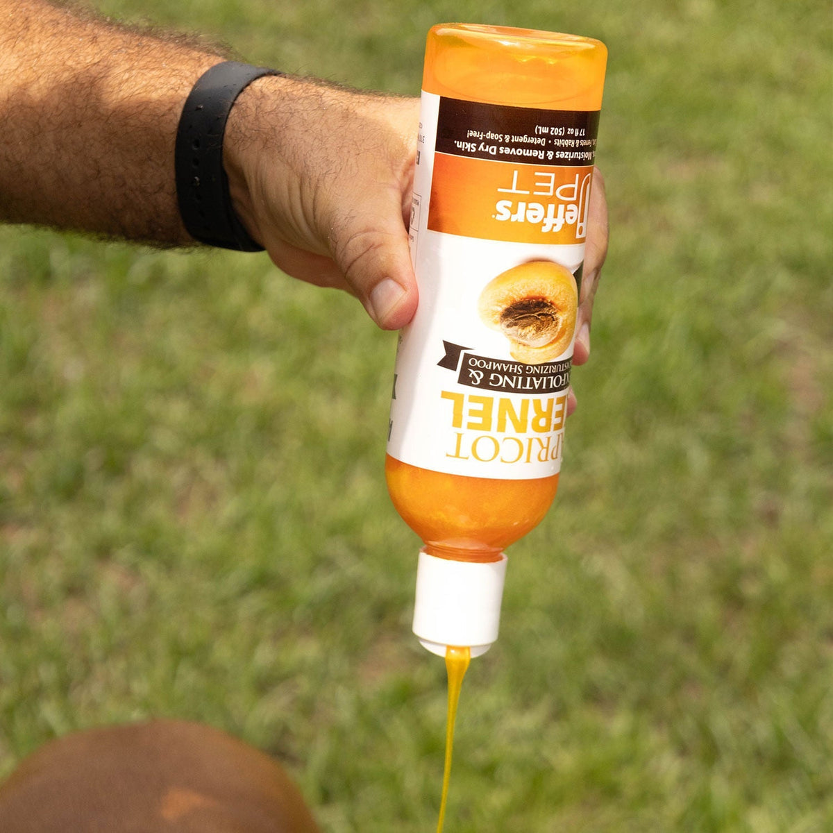 Jeffers Apricot Kernel Pet Shampoo | Exfoliating & Moisturizing Formula Jeffers