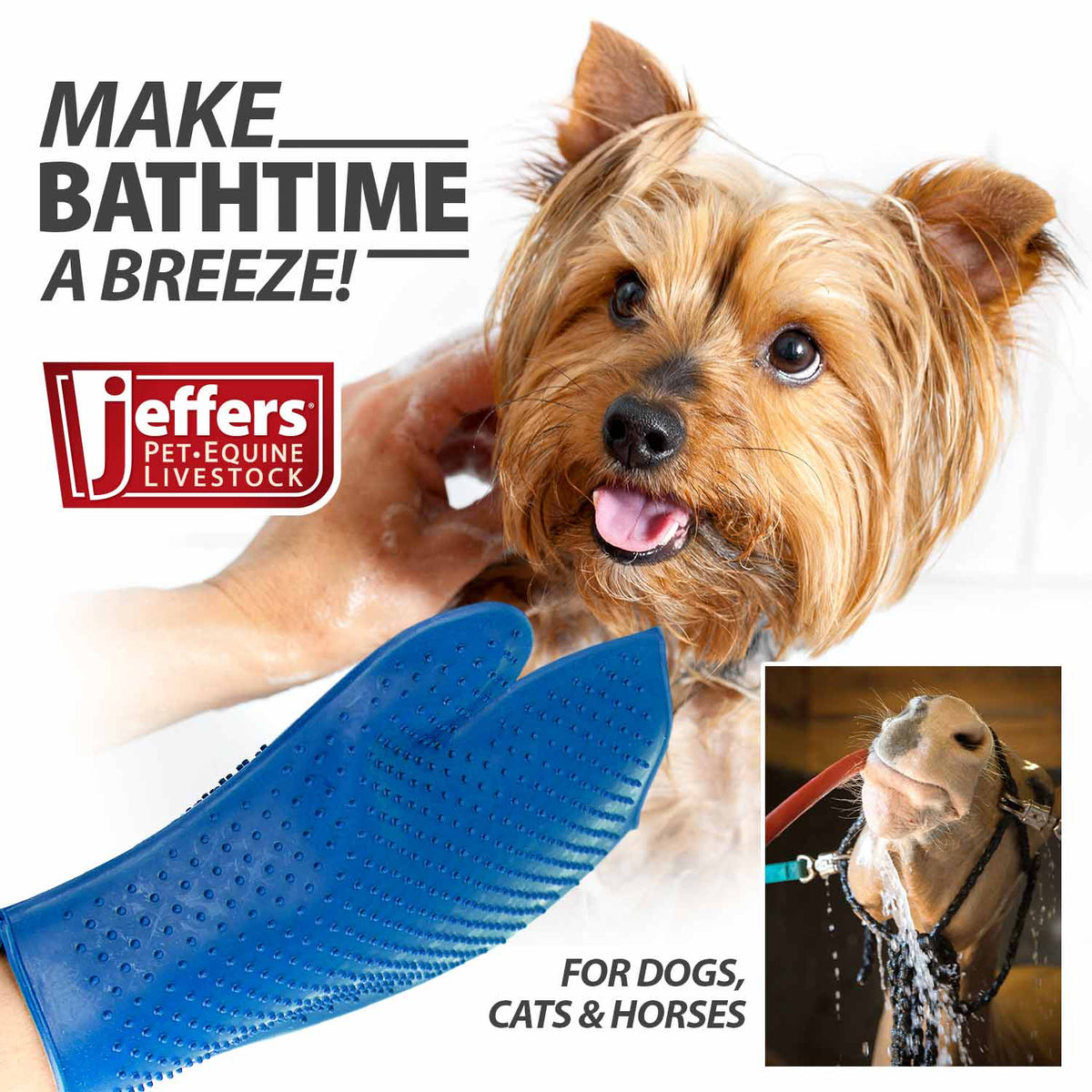 Jeffers GROOMIT Rubber Grooming Glove | Horses, Dogs & Cats Jeffers