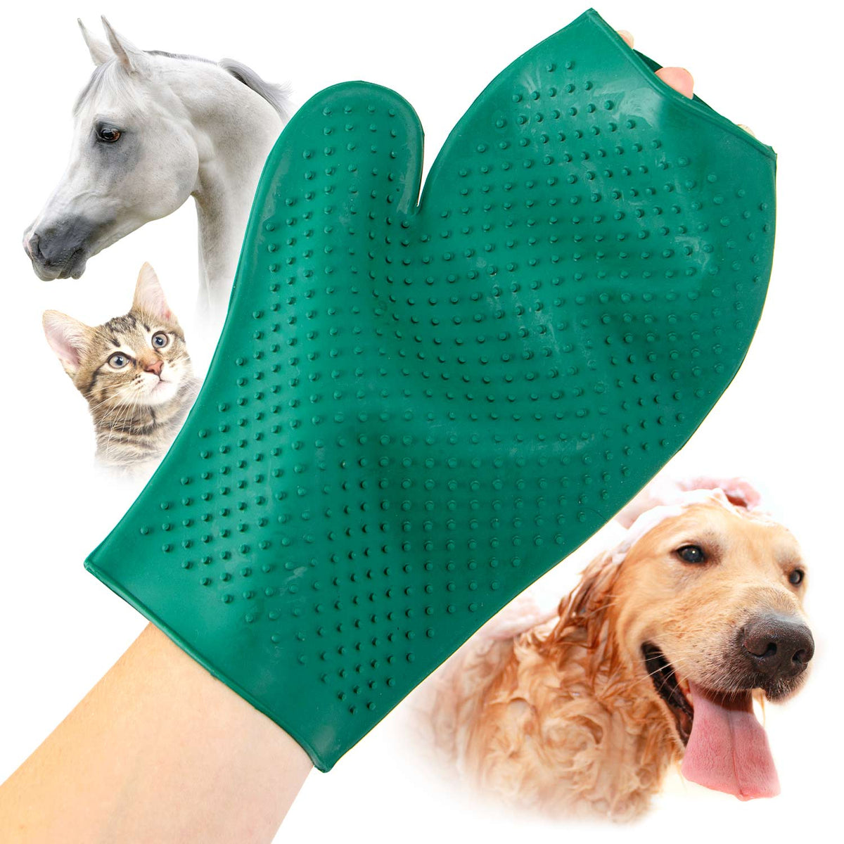 Jeffers GROOMIT Rubber Grooming Glove | Horses, Dogs & Cats Jeffers