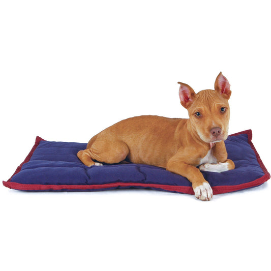 Dog lying on a blue and red pet bed against a white background