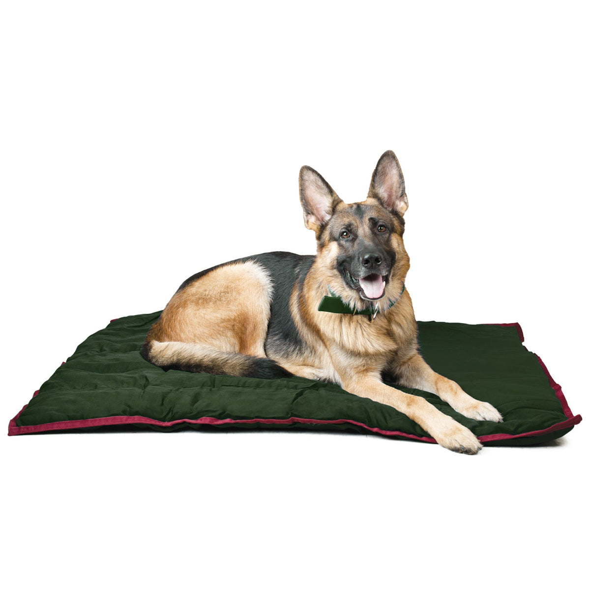 Jeffers Washable Comfy Dog Pillow | Crate Mat for Dogs & Cats Jeffers