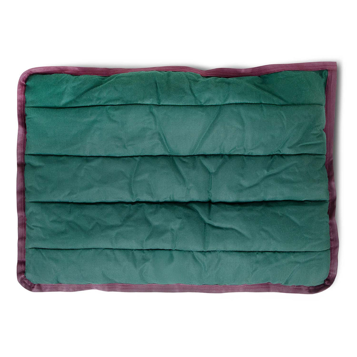 Jeffers Washable Comfy Dog Pillow | Crate Mat for Dogs & Cats Jeffers