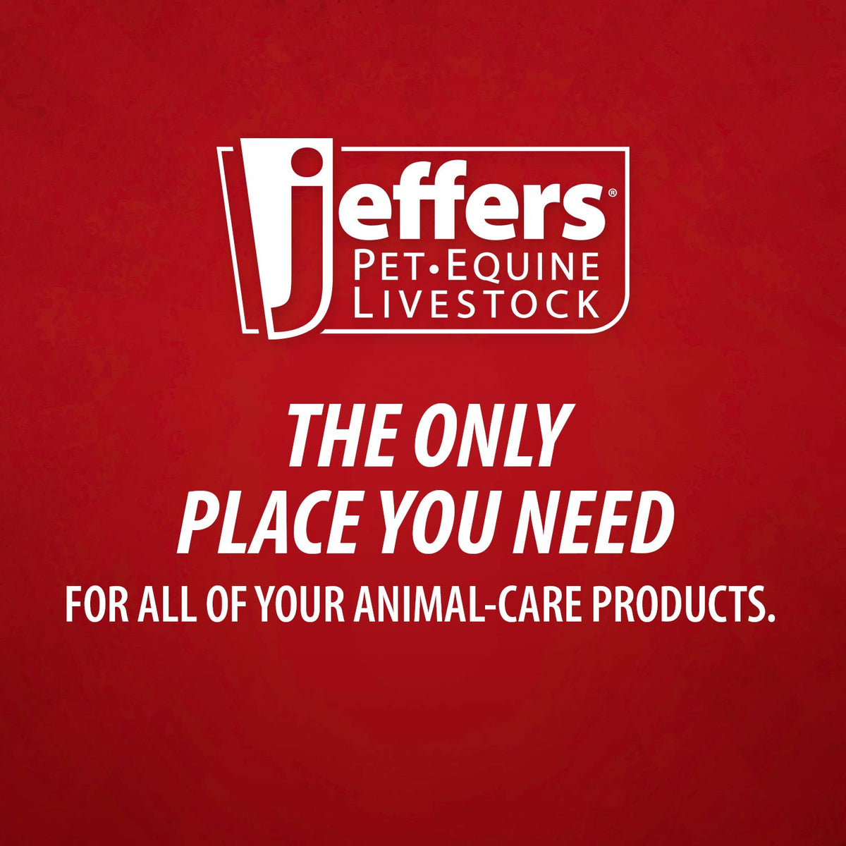 Jeffers GROOMIT Rubber Grooming Glove | Horses, Dogs & Cats Jeffers