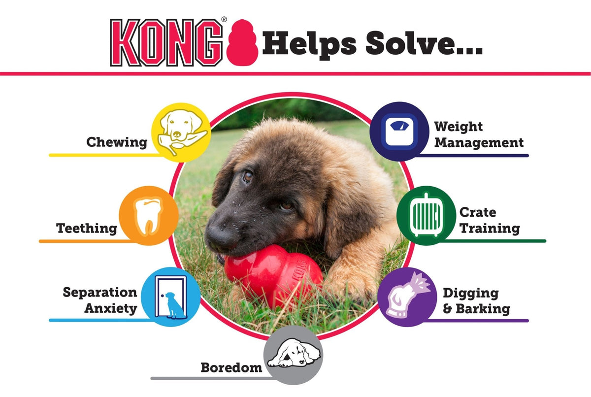 KONG Classic Dog Toy | Fillable Natural Rubber Chew Toy | XSmall to King Jeffers