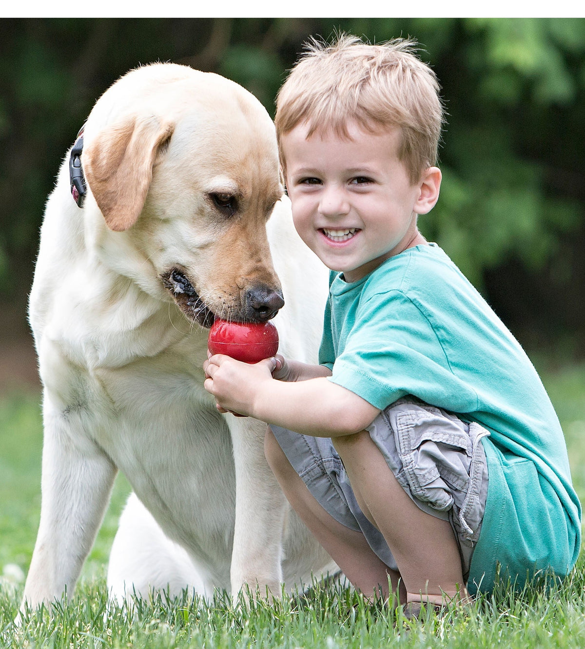 KONG Classic Dog Toy | Fillable Natural Rubber Chew Toy | XSmall to King Jeffers