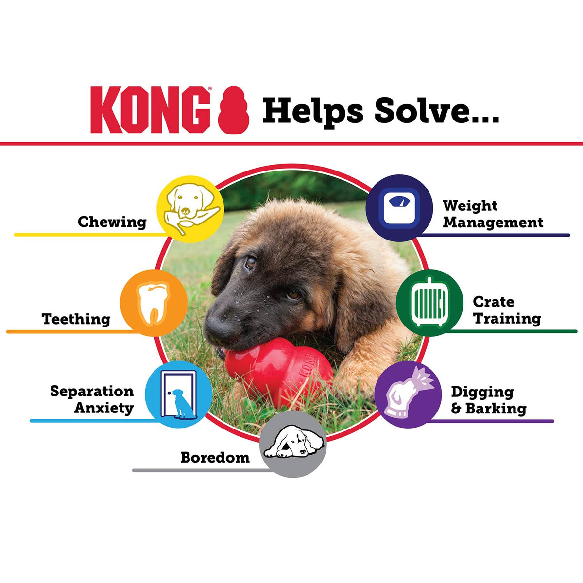 KONG Classic Dog Toy | Fillable Natural Rubber Chew Toy | XSmall to King Jeffers