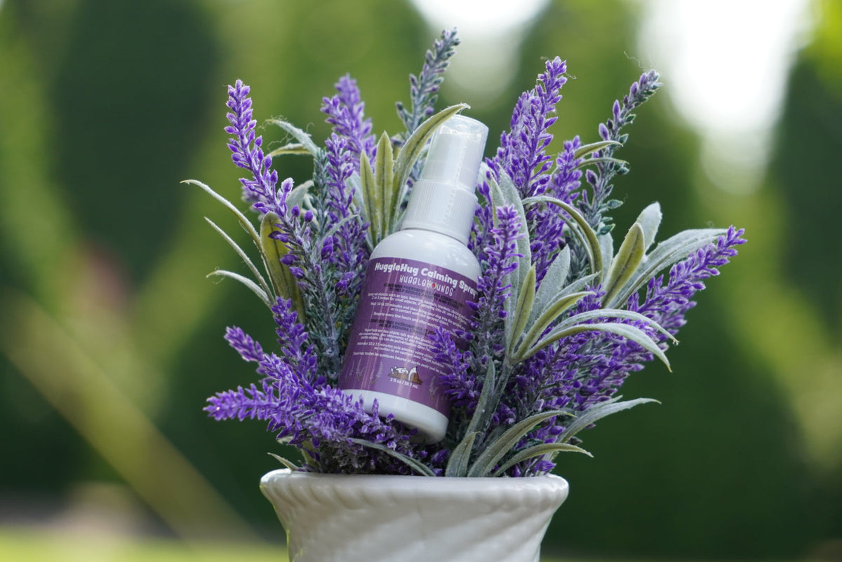 HuggleHug™ Lavender Bone & Calming Spray Set – Anti-Anxiety Dog Toy with Essential Oils HuggleHounds