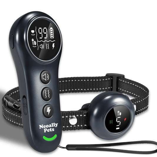 NeoAlly 2-in-1 rechargeable dog training and bark control collar