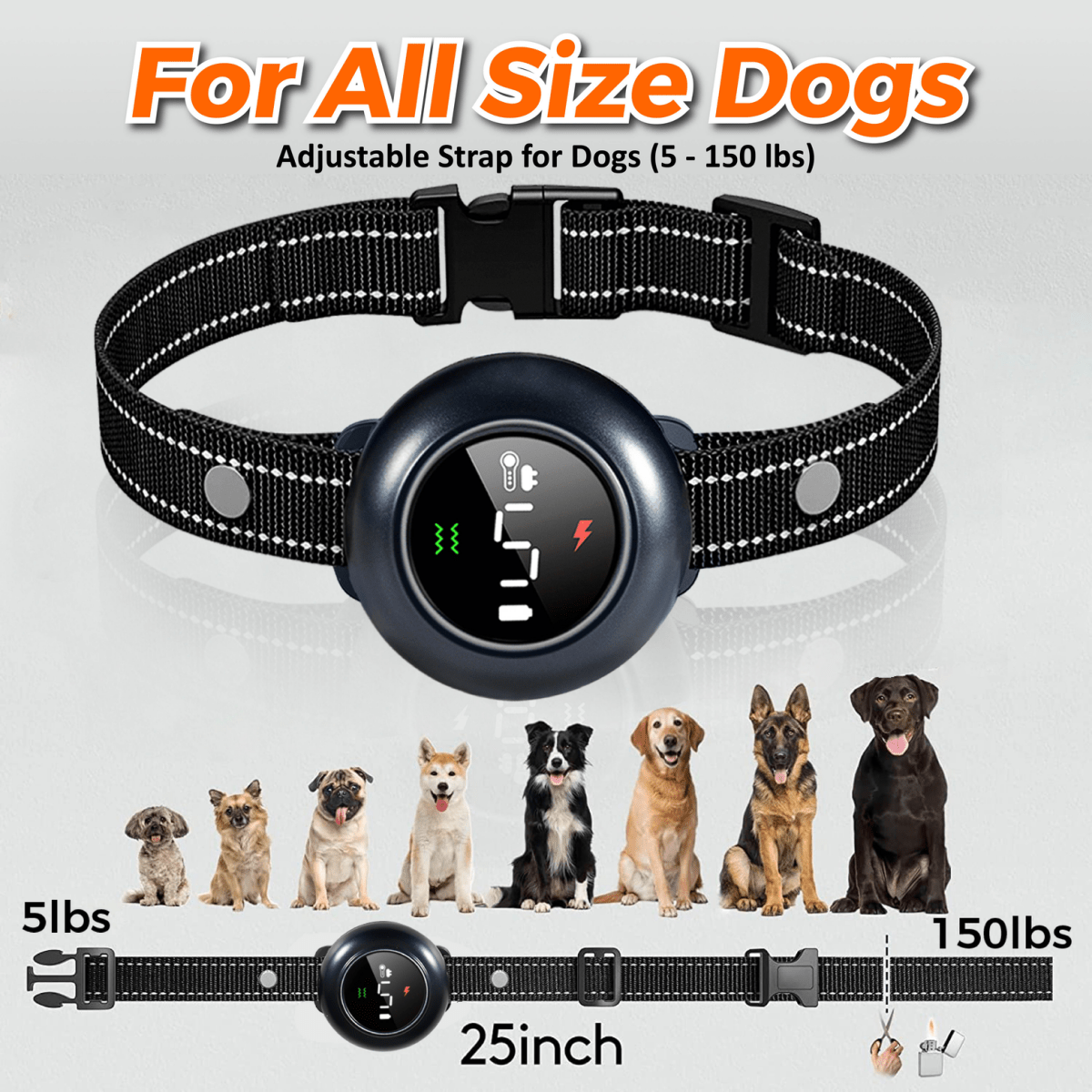 NeoAlly 2-in-1 Dog Training & Bark Control Collar (5–150 lbs) Neoallypets