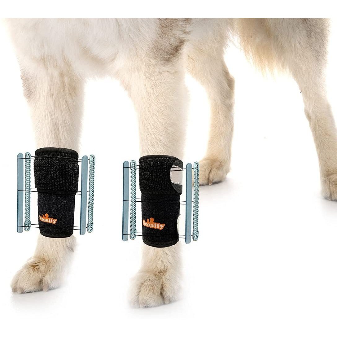 NeoAlly 3-in-1 front leg dog splint brace with rigid and spring inserts