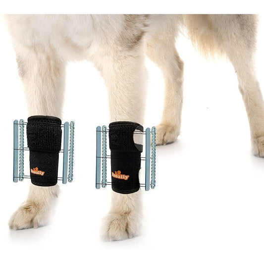 NeoAlly 3-in-1 front leg dog splint brace with rigid and spring inserts
