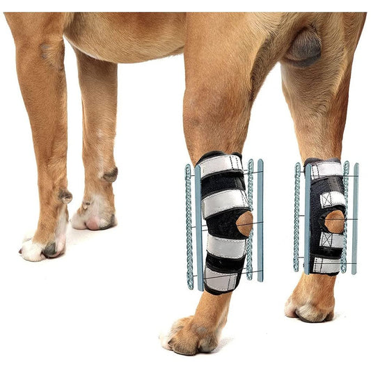 NeoAlly 3-in-1 long rear leg hock brace with rigid and spring inserts