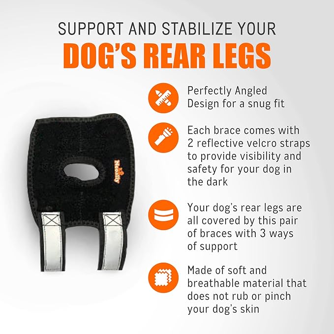 NeoAlly 3-in-1 Short Rear Leg Hock Brace for Smaller Dogs (Pair) Neoallypets