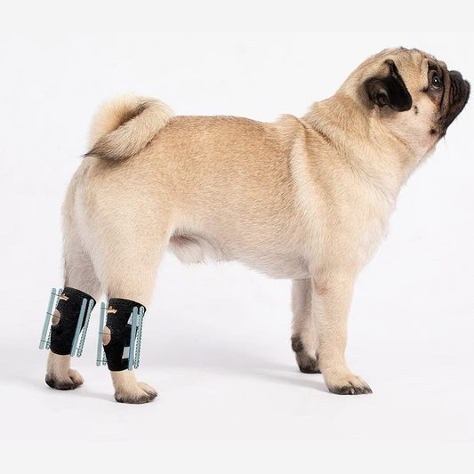 NeoAlly 3-in-1 short rear leg hock brace with rigid and spring inserts for small dogs