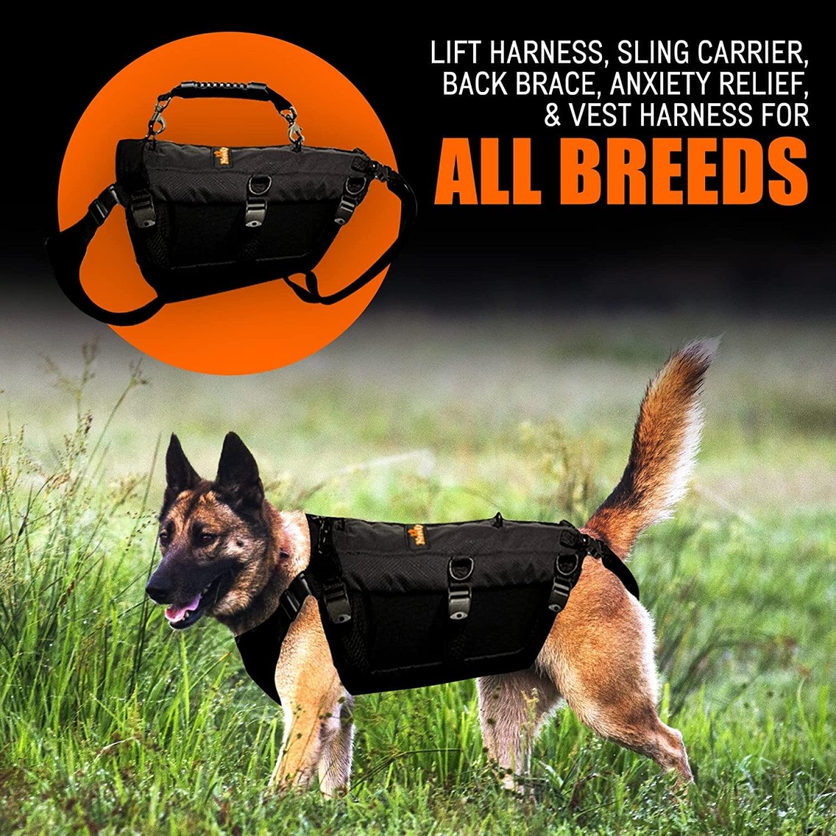 NeoAlly 5-in-1 Full Body Dog Lift Harness – Sturdy Mobility Support Neoallypets