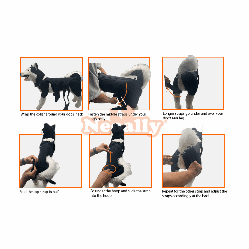 NeoAlly Dog Back Brace with Support Inserts – Spinal Stabilization Neoallypets