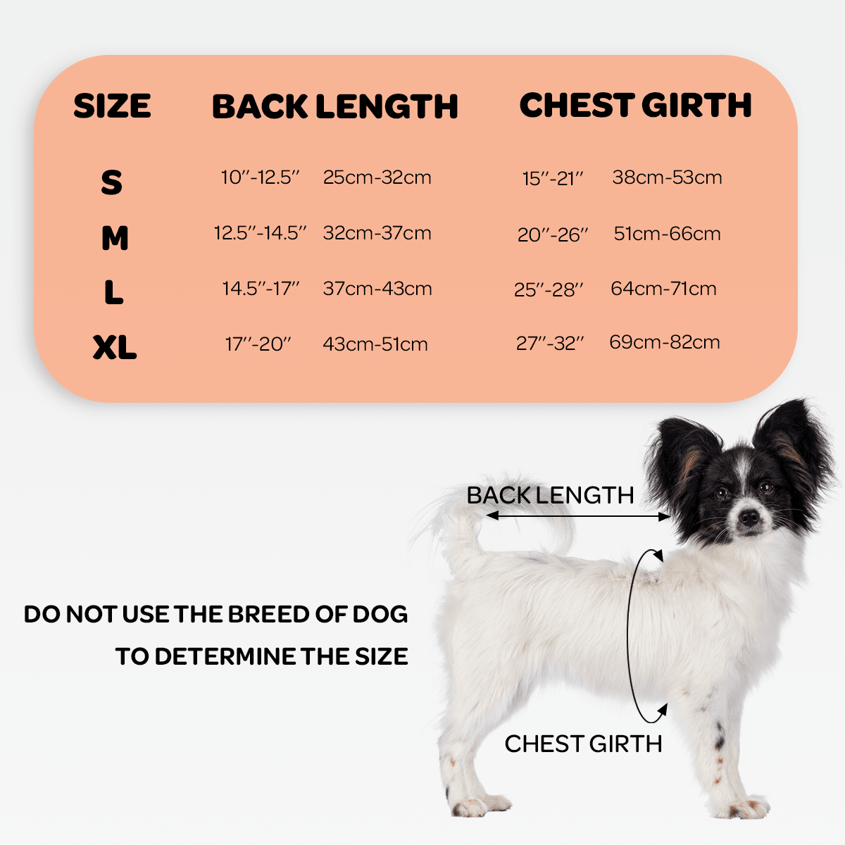 NeoAlly Dog Back Brace with Support Inserts – Spinal Stabilization Neoallypets