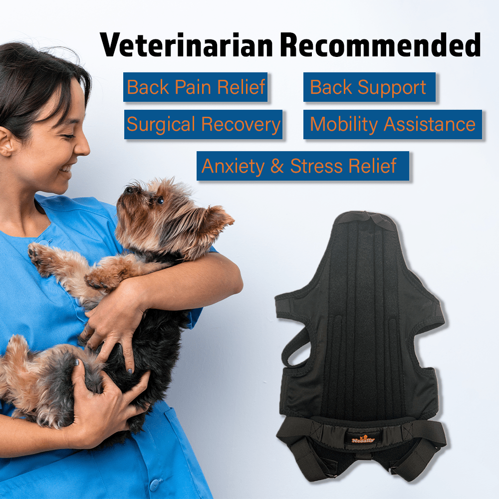 NeoAlly Dog Back Brace with Support Inserts – Spinal Stabilization Neoallypets