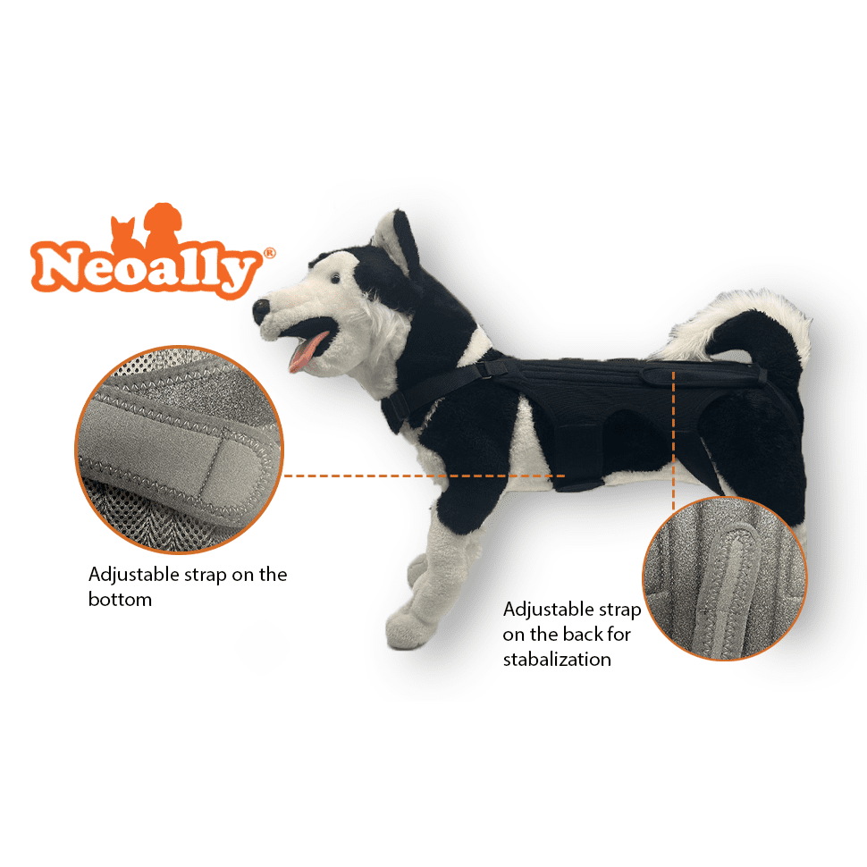 NeoAlly Dog Back Brace with Support Inserts – Spinal Stabilization Neoallypets