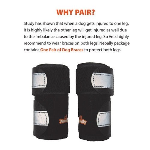 NeoAlly Dog Front Leg Brace with Metal Spring Support (Pair) Neoallypets