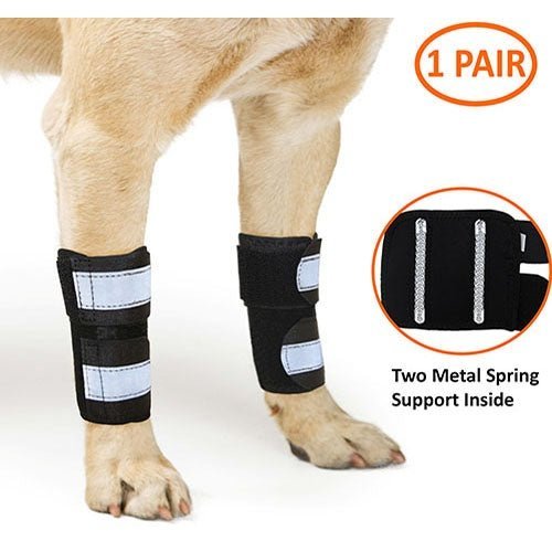 NeoAlly dog front leg brace with metal spring support and reflective straps