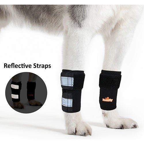 NeoAlly dog front leg brace with reflective straps for wrist support
