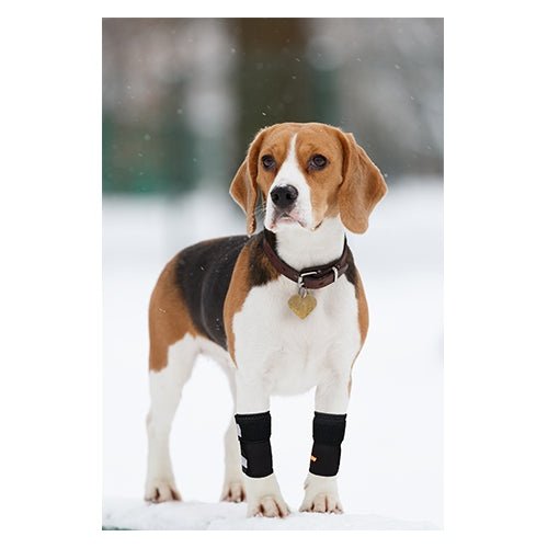 NeoAlly Dog Front Leg Brace – Medium Support, Reflective Straps (Pair) Neoallypets