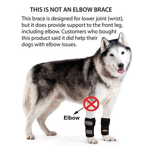 NeoAlly Dog Front Leg Brace – Medium Support, Reflective Straps (Pair) Neoallypets