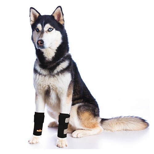 NeoAlly Dog Front Leg Brace – Medium Support, Reflective Straps (Pair) Neoallypets