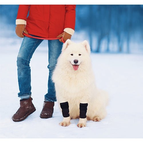 NeoAlly Dog Front Leg Brace – Medium Support, Reflective Straps (Pair) Neoallypets