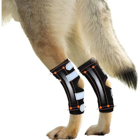 NeoAlly rear leg hock brace with metal spring strips for large dogs