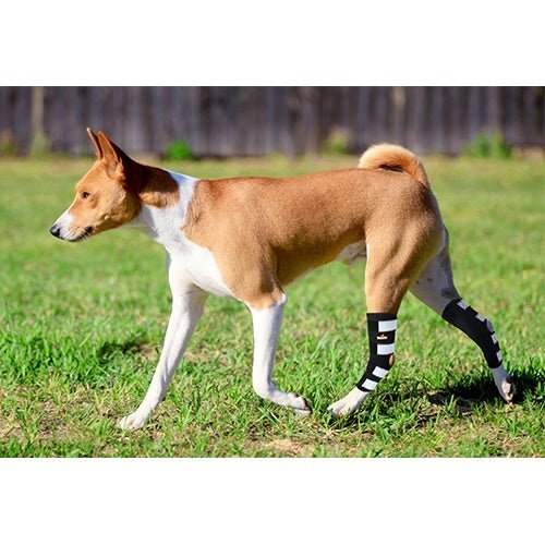 NeoAlly Dog Rear Leg Hock Brace with Metal Spring Strips – Large Dogs, Long Version (Pair) Neoallypets
