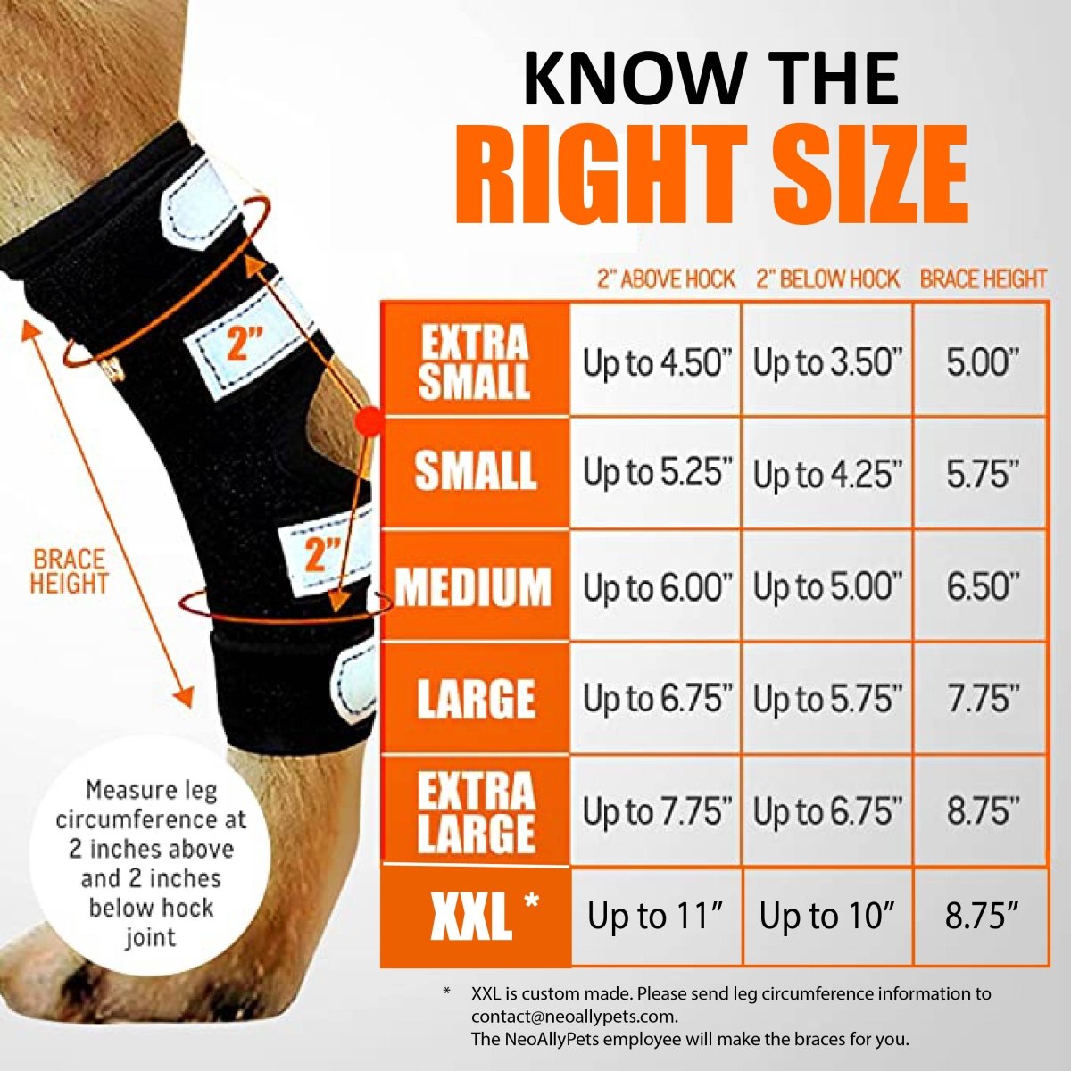NeoAlly Dog Rear Leg Hock Brace with Metal Spring Strips – Large Dogs, Long Version (Pair) Neoallypets