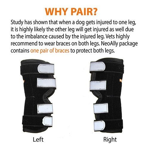 NeoAlly Dog Rear Leg Hock Brace with Metal Spring Strips – Large Dogs, Long Version (Pair) Neoallypets
