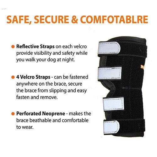 NeoAlly Dog Rear Leg Hock Brace with Metal Spring Strips – Large Dogs, Long Version (Pair) Neoallypets