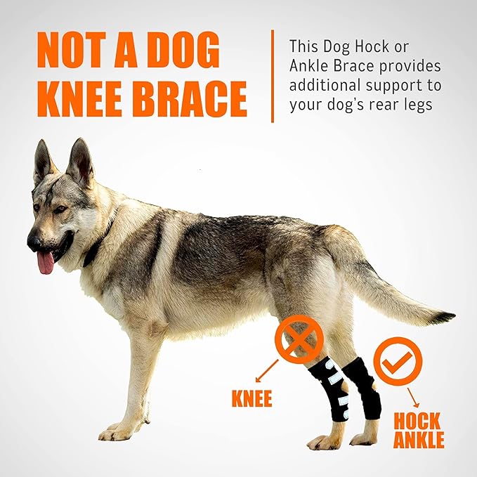 NeoAlly Dog Rear Leg Hock Brace with Metal Spring Strips – Large Dogs, Long Version (Pair) Neoallypets
