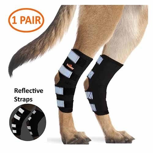 NeoAlly rear leg hock brace for large dogs with reflective straps
