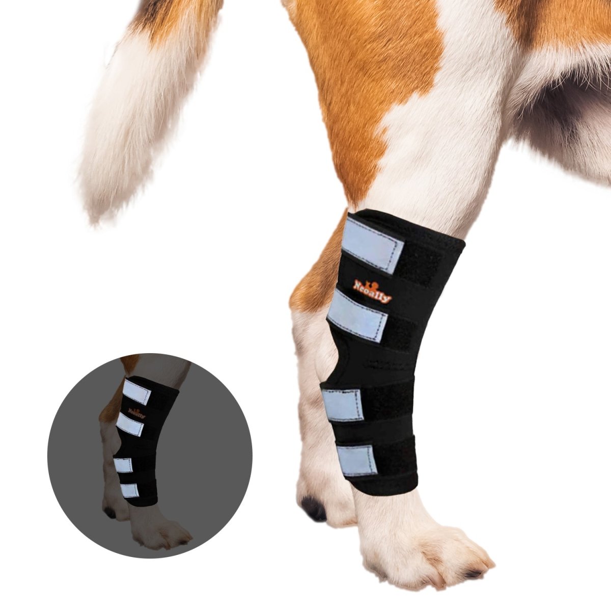 NeoAlly Rear Leg Hock Brace for Large Dogs – Reflective Straps (Pair) Neoallypets