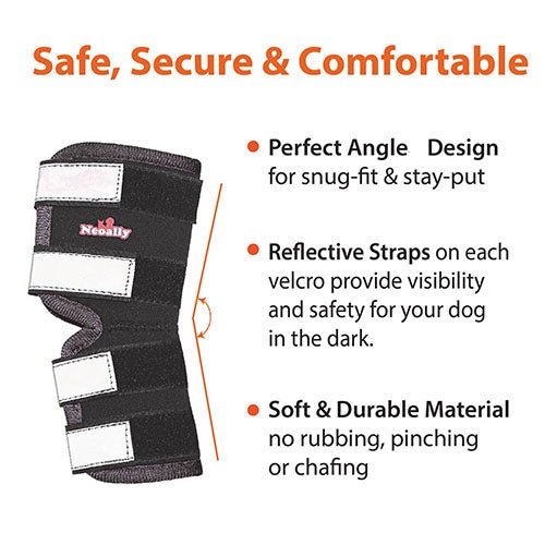 NeoAlly Rear Leg Hock Brace for Large Dogs – Reflective Straps (Pair) Neoallypets