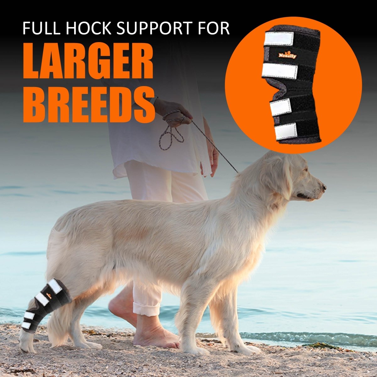 NeoAlly Rear Leg Hock Brace for Large Dogs – Reflective Straps (Pair) Neoallypets
