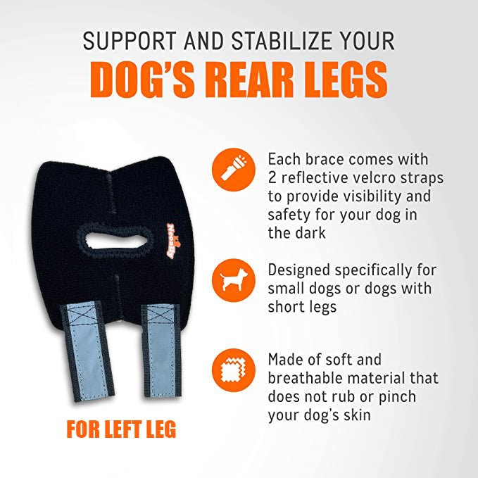 NeoAlly Dog Rear Leg Hock Brace – Reflective Support Straps (Pair) Neoallypets