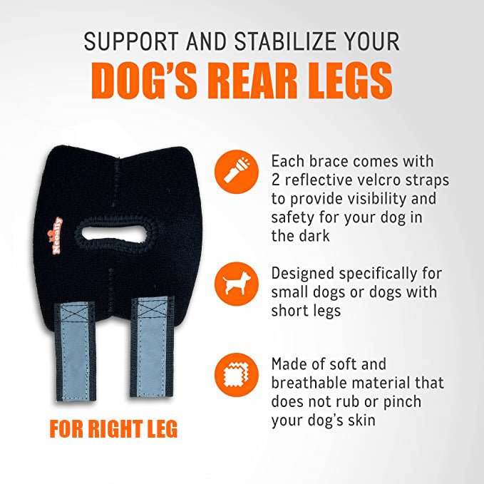 NeoAlly Dog Rear Leg Hock Brace – Reflective Support Straps (Pair) Neoallypets
