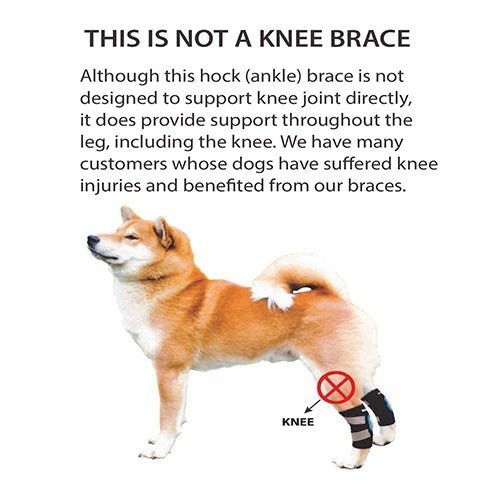 NeoAlly Dog Rear Leg Hock Brace – Reflective Support Straps (Pair) Neoallypets