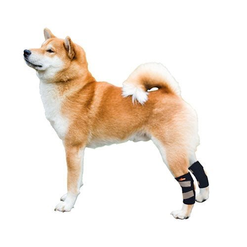 NeoAlly Dog Rear Leg Hock Brace – Reflective Support Straps (Pair) Neoallypets