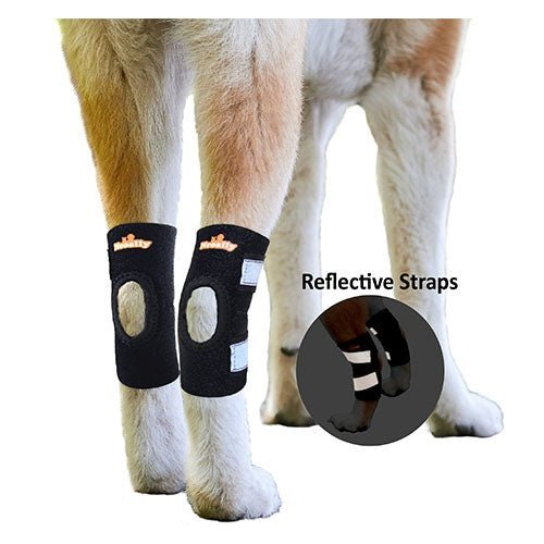 NeoAlly dog rear leg hock brace with reflective safety straps