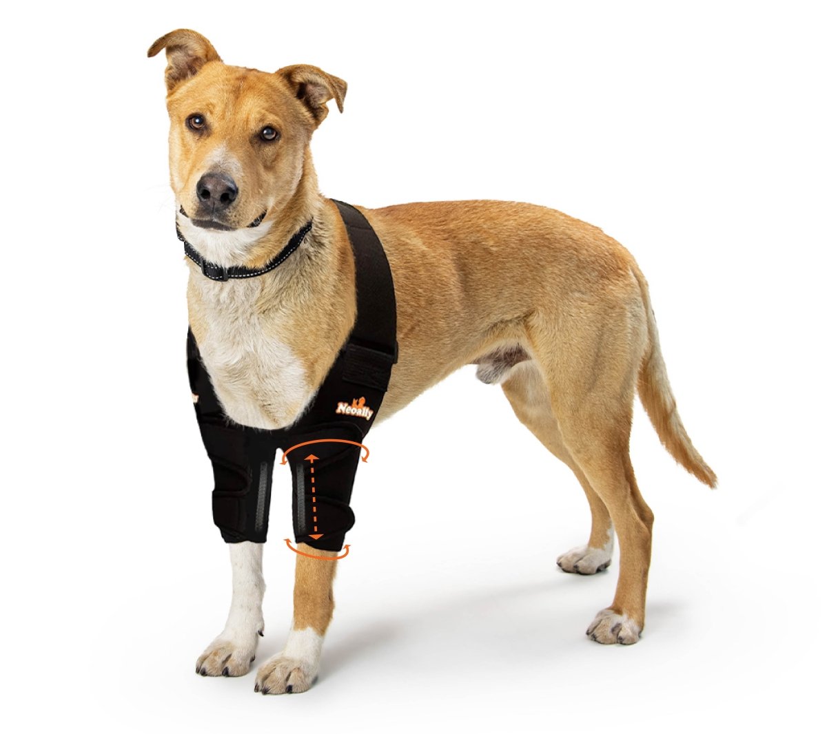 NeoAlly Elbow & Shoulder Brace with Spring Inserts for Dogs & Cats Neoallypets
